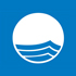 Blue Flag Logo