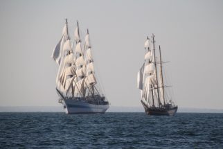 Mir and Royal Helena approaching the start line
