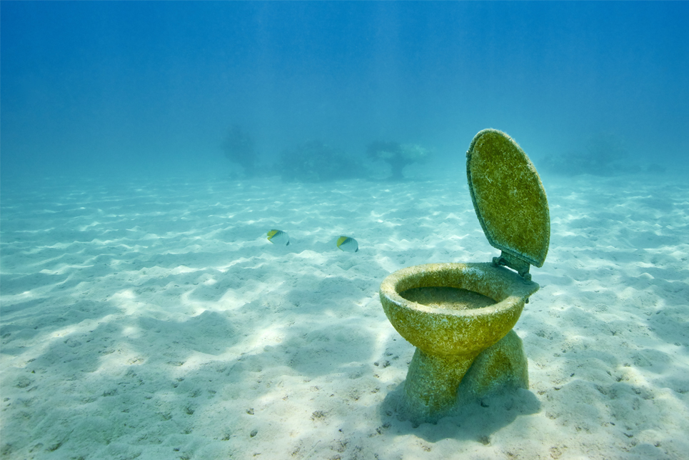 How to use Marine Toilets The Secrets of Sail Training