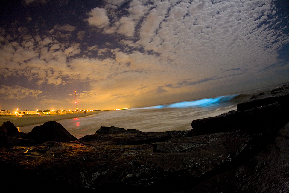Bioluminescența captată pe valurile care se sparg.
