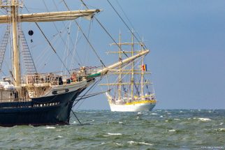 tall ship tenacious sailing into the hague
